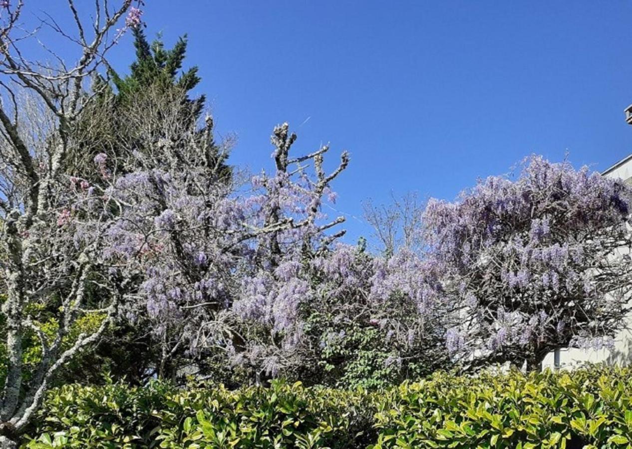 Le Gite Des Couderches Plazac Luaran gambar